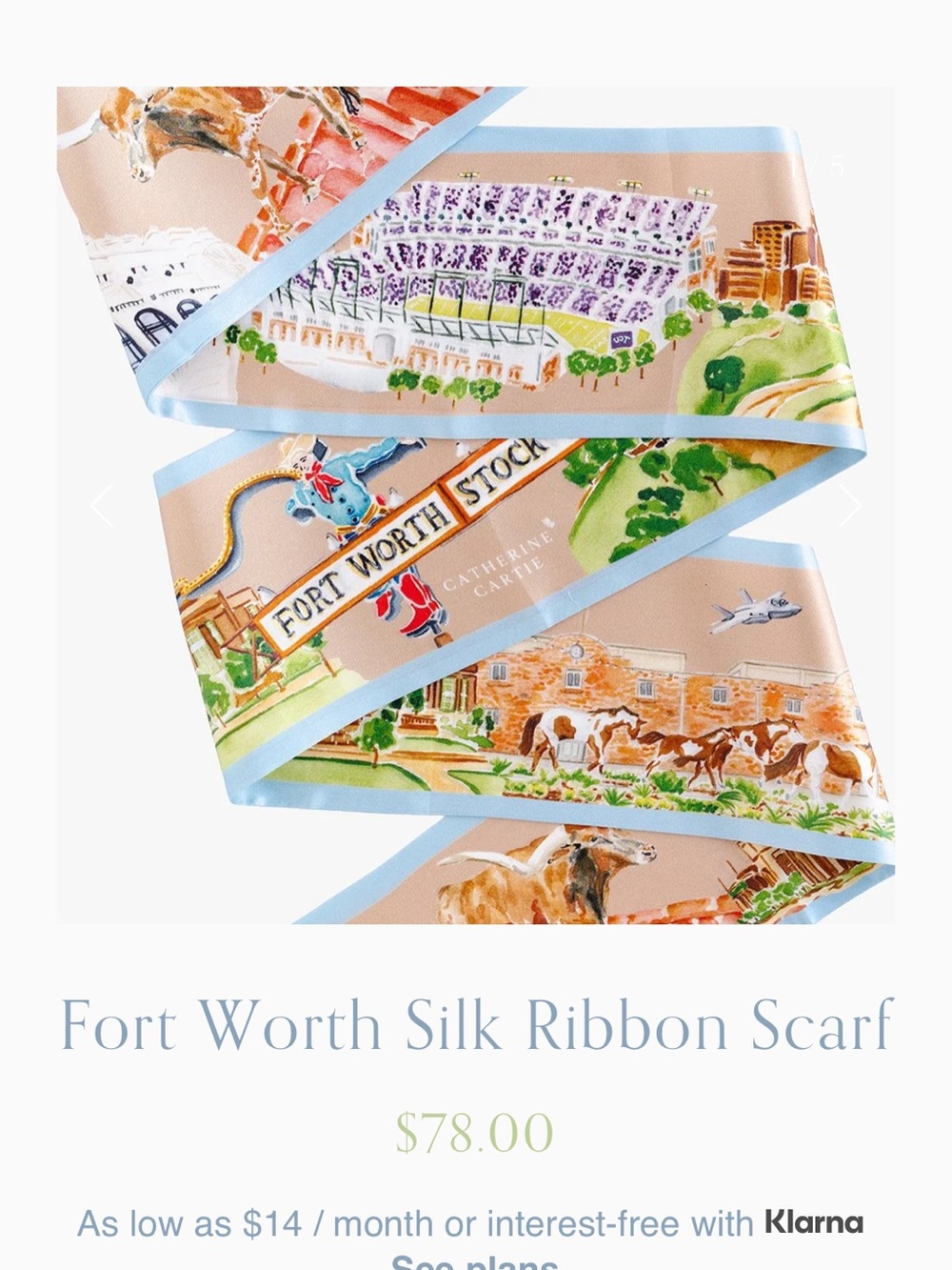 Fort Worth Silk Ribbon Scarf - Blush & Sky Blue